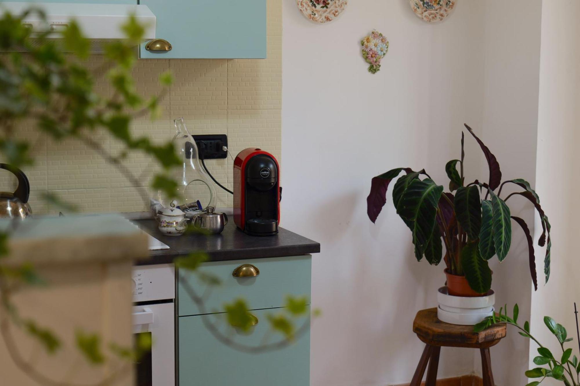 Coli'S House Bed & Breakfast Turin Bagian luar foto