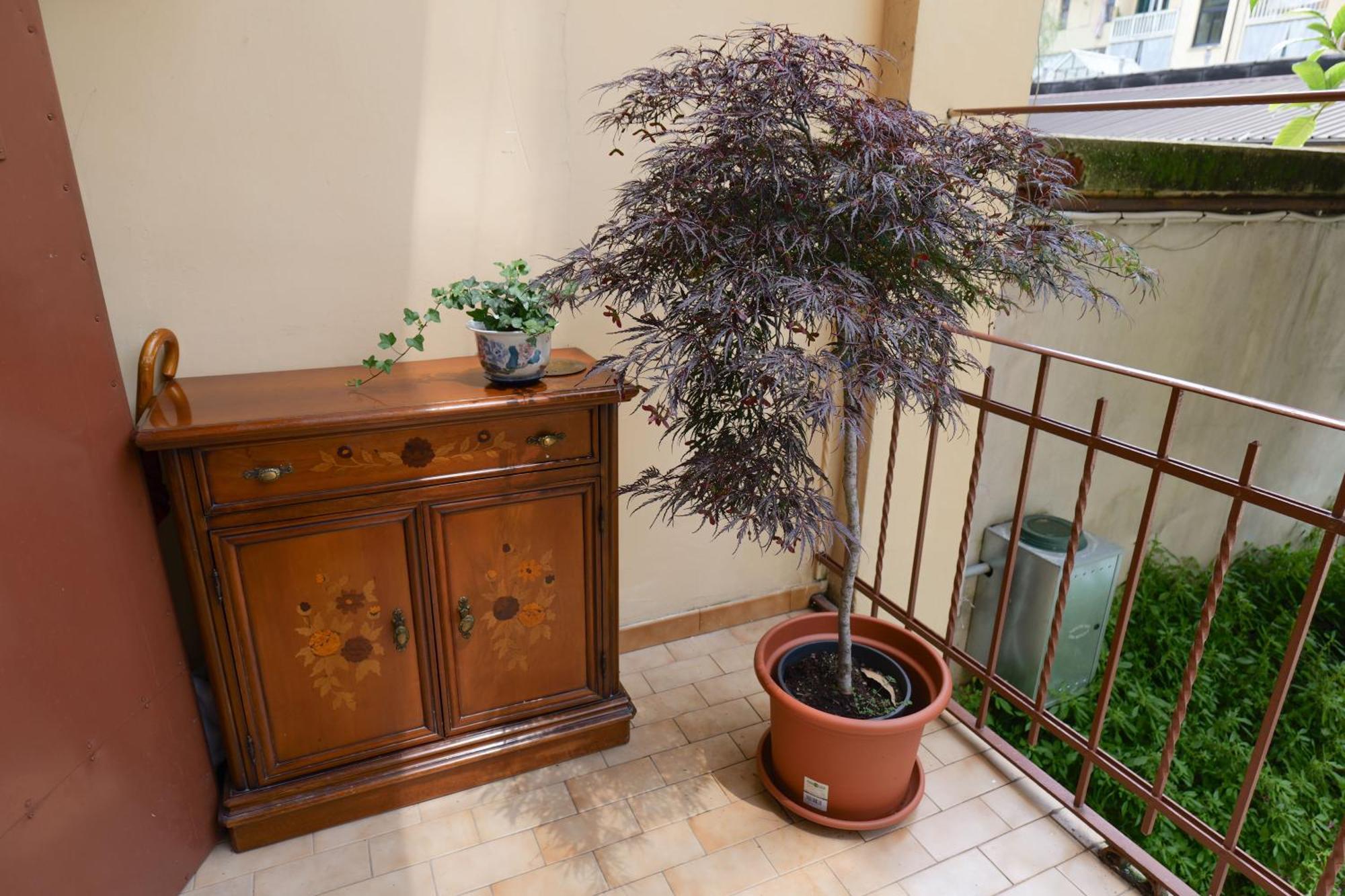 Coli'S House Bed & Breakfast Turin Bagian luar foto